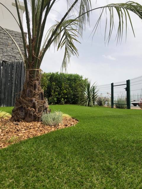 création de jardin